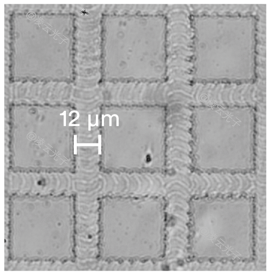 微信公众号图片