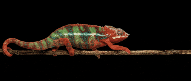 微信公众号图片