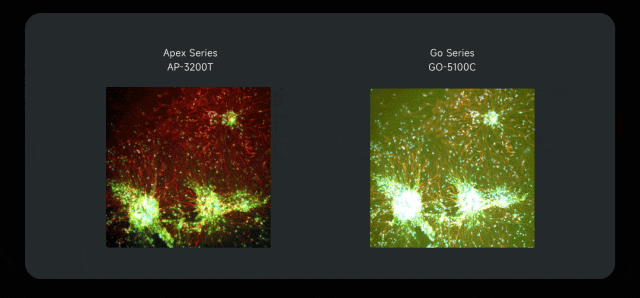 微信公众号图片